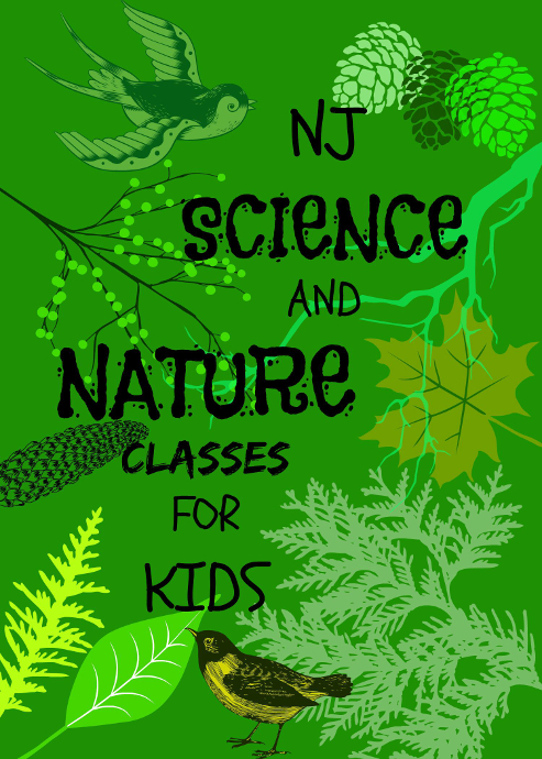 NJ Science And Nature Classes For Kids